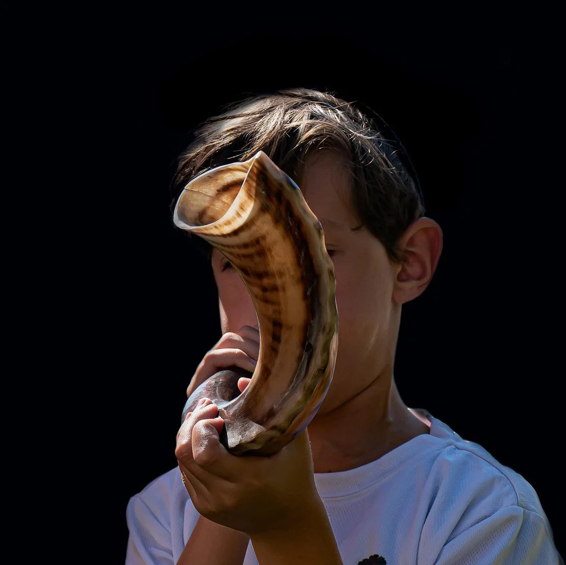 Discover the shofar