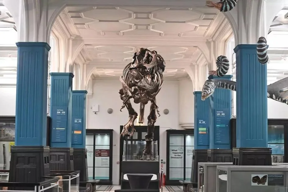 Stan the Tyrannosaurus rex set to leave Manchester Museum for the first time