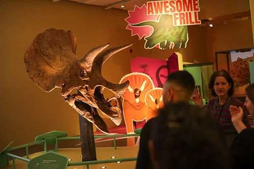 Triceratops Opening event-26.jpg