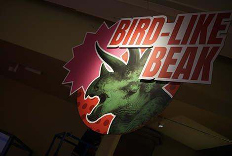Triceratops 7.png