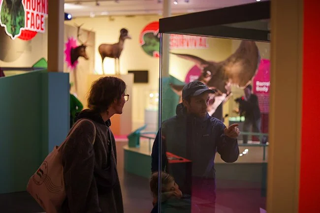 Triceratops Opening event-31.jpg