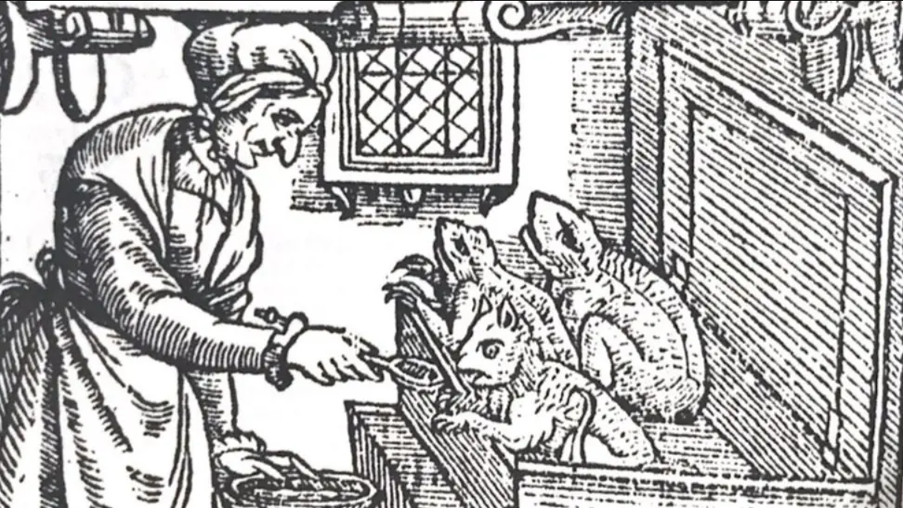 An illustration of a witch with a box of toads.