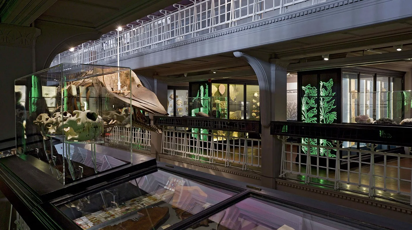 Nature's Library | Manchester Museum — Manchester Museum