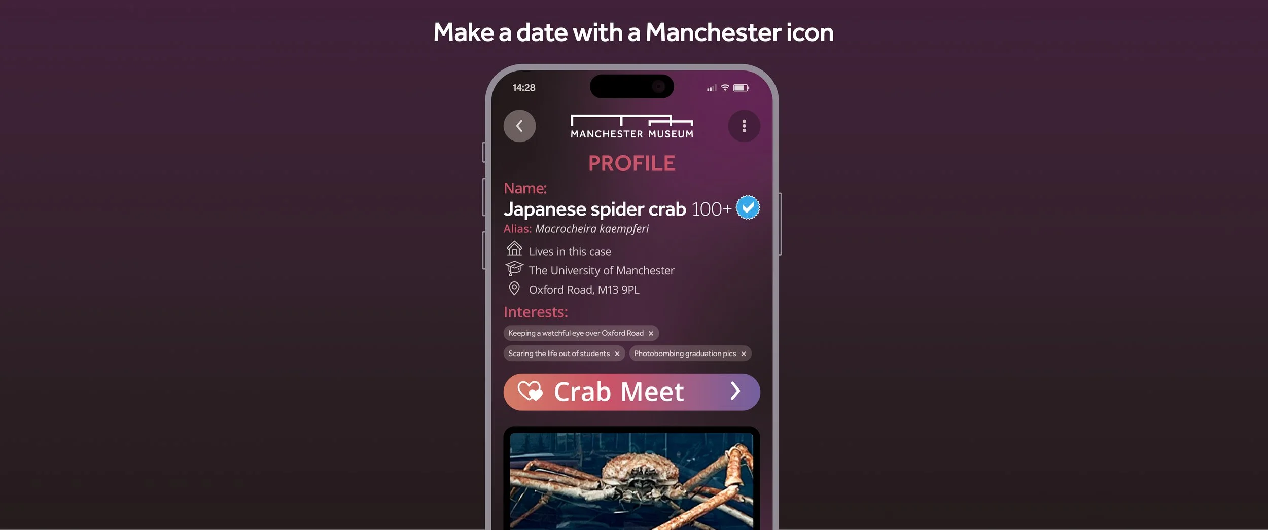 The text 'Make a date with a Manchester icon' above a mocked up phone screen showing a fake dating profile for Manchester Museum's famous spider crab.