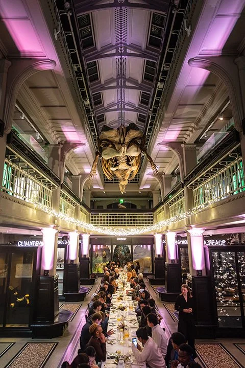 A banquet-style dinner in the Living Worlds gallery at Manchester Museum, with people sat either side of a long table beneath the amazing sperm whale.