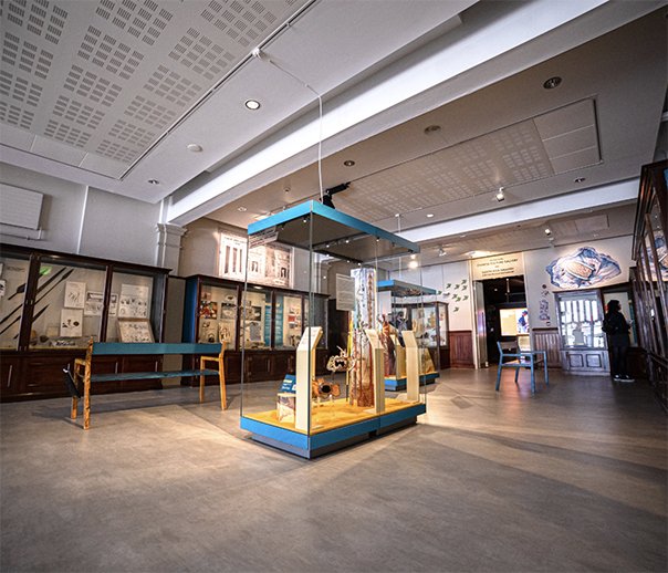Belonging gallery wide shot.jpg