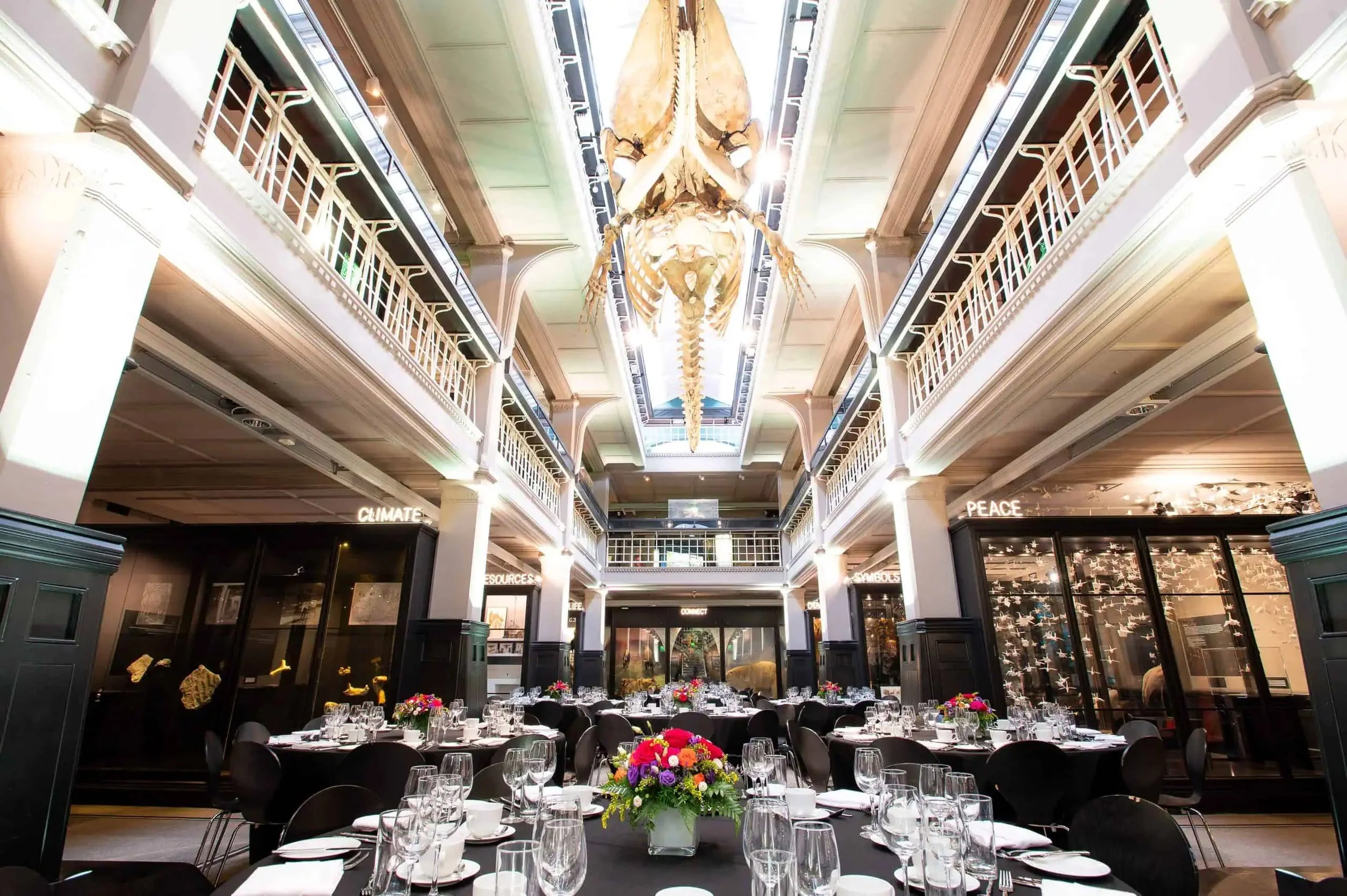 Venue hire: corporate and conferences | Book at Manchester Museum today ...