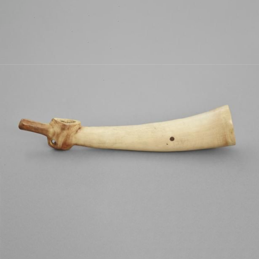 An ivory trumpet made from the tip of an elephant's tusk, hollowed, with an expanding mouthpiece.