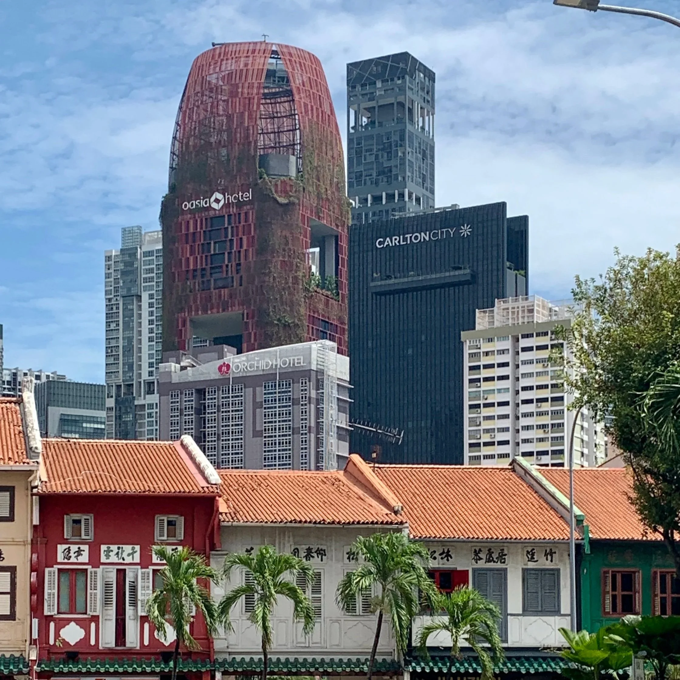 Moving to Singapore in 2025? Shipping to settling in, we’ve got you covered.