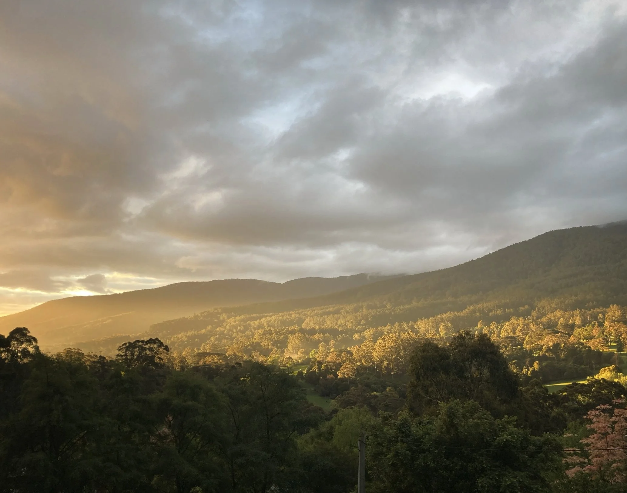 Sunset over an Australian mountain forest landscape with cloudy sky at sunrise.