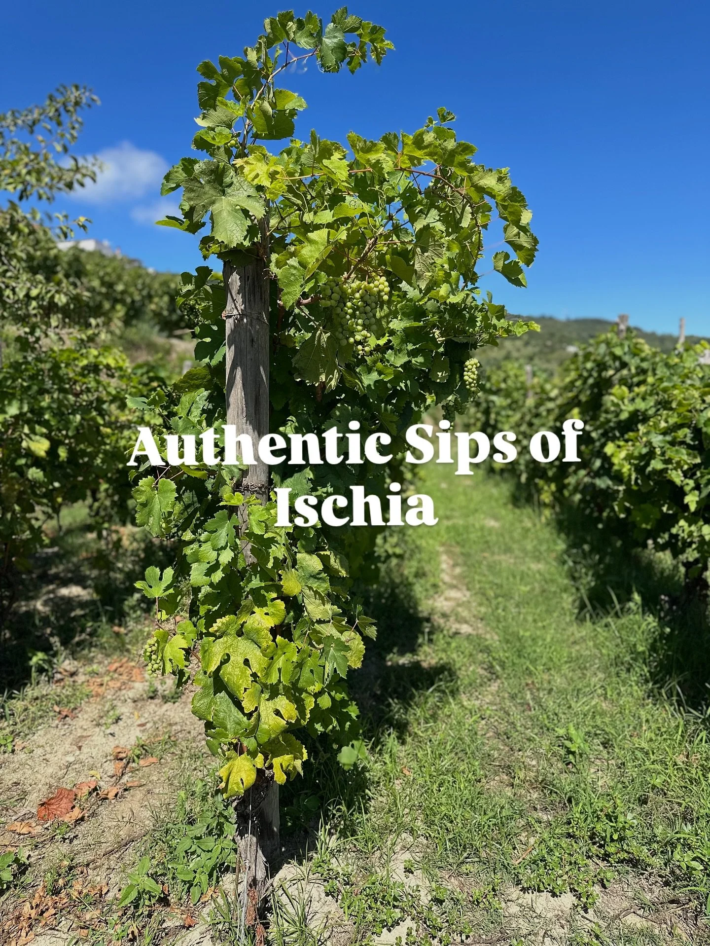 There&rsquo;s nothing more authentic than interacting with the winemaker and sharing a glass of wine in Ischia.🍷✨ These are the moments in Campania that stay with you forever&mdash;the flavors, the stories, the people.

Travel isn&rsquo;t just about