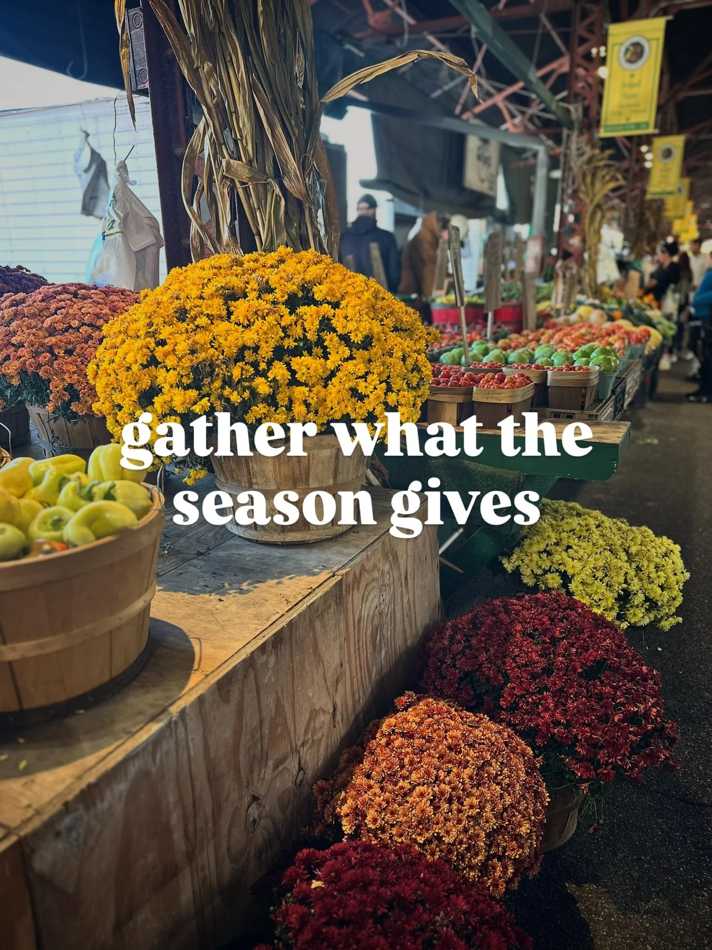 Italians shop with the season. Markets remind us to taste what&rsquo;s here now &mdash; the sweet apples, the bright mums, and the cozy pumpkins. 🍂🍁

How will you be decorating your table this Thanksgiving? 👇 I found little pumpkins for sale to pu