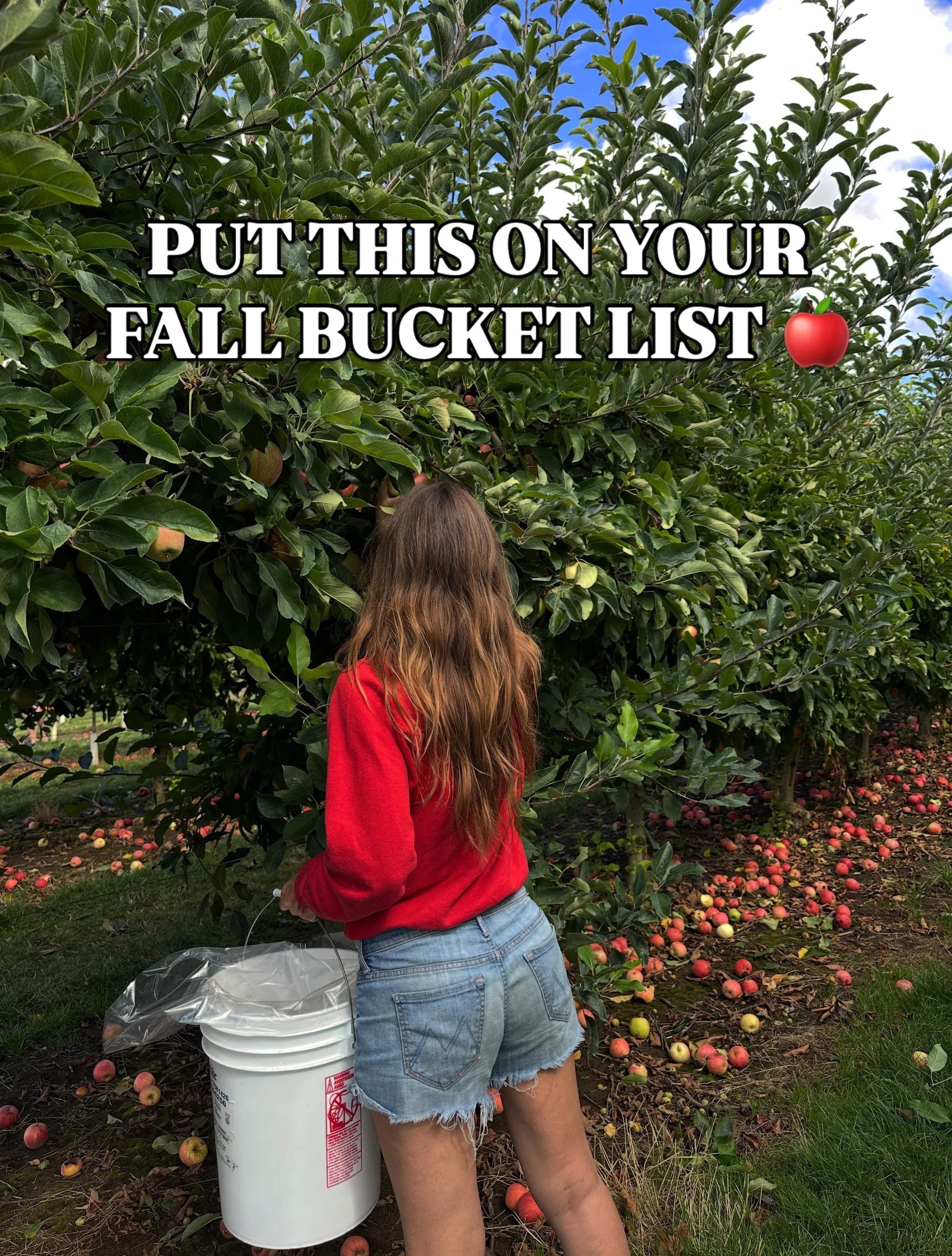 Some fall vibes for your feed and your next road trip 🍎

I literally found this place by chance after seeing a field of sunflowers as I drove south from Portland toward California. I decided to pull off the next exit and see if I could find it&helli