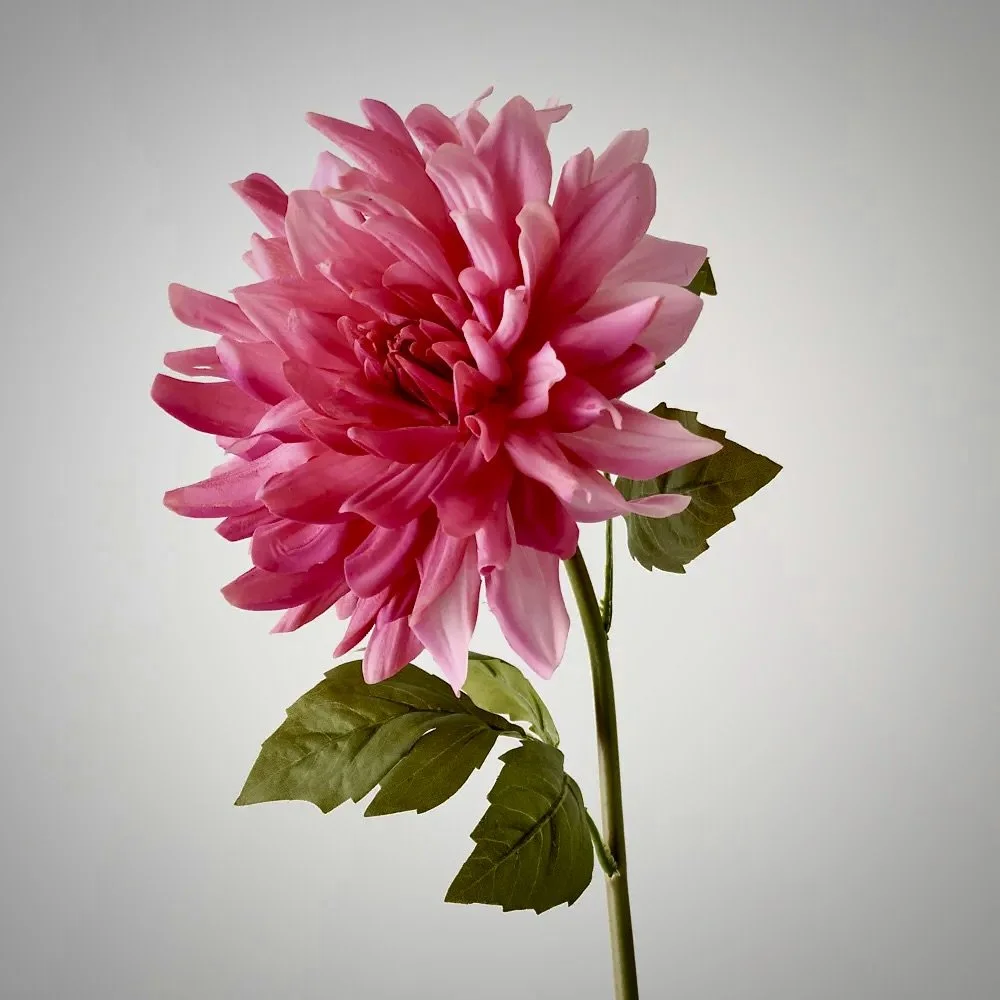 Faux - Dahlia Fuschia