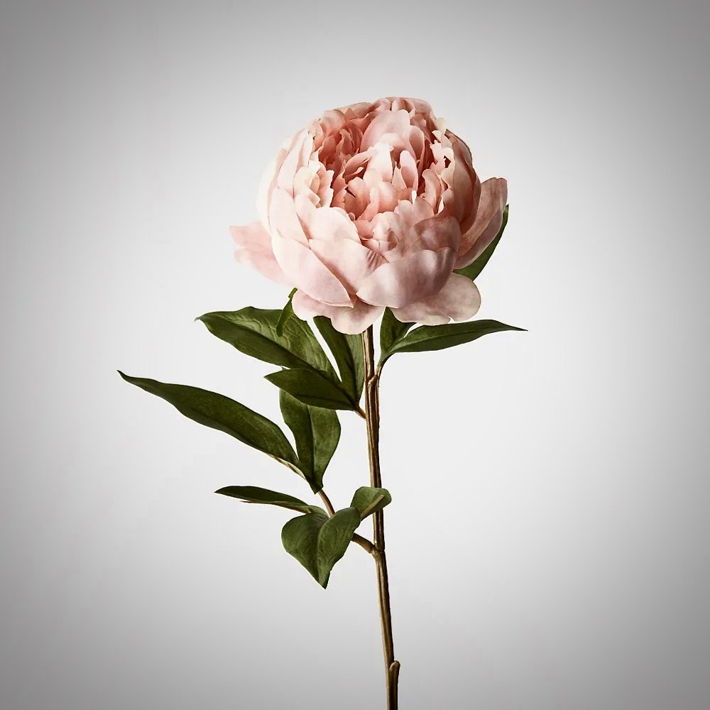 Faux - Peony Coral