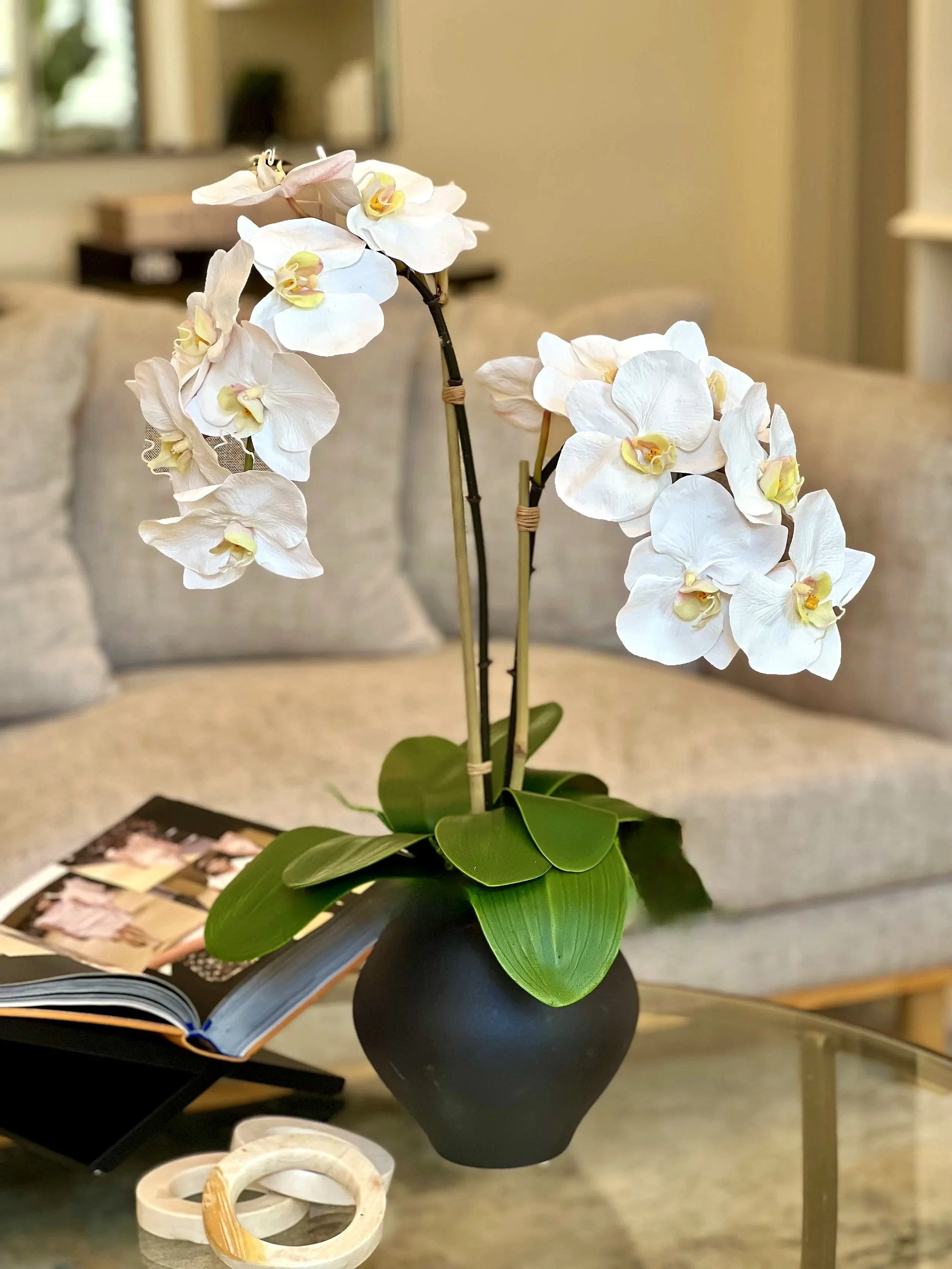 Phalaenopsis Potted Orchid - Faux Flower Arrangement