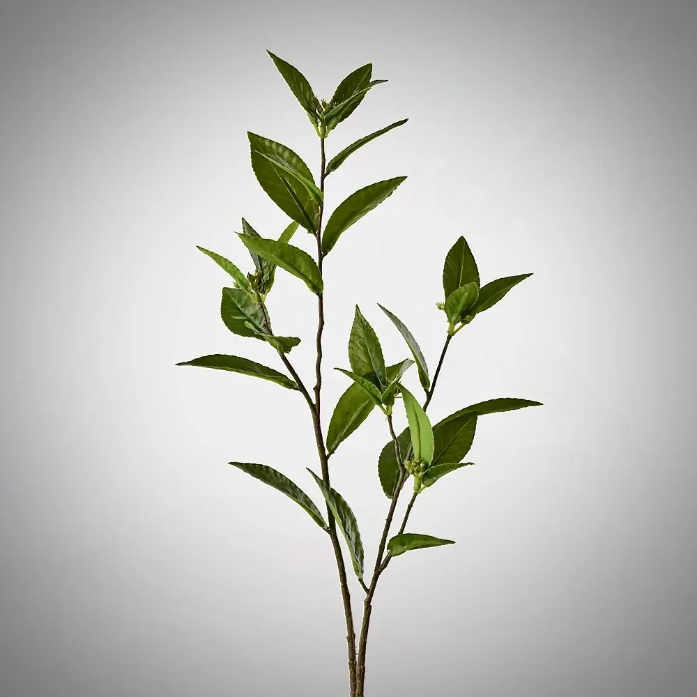 Faux - Bay Leaf Seed Spray
