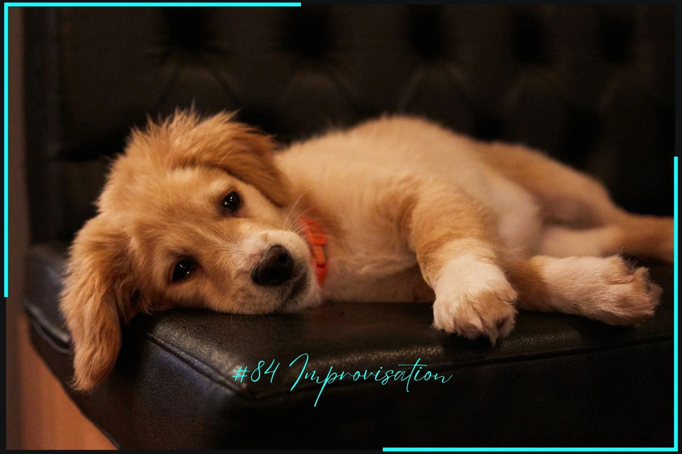 #84 Improvisation