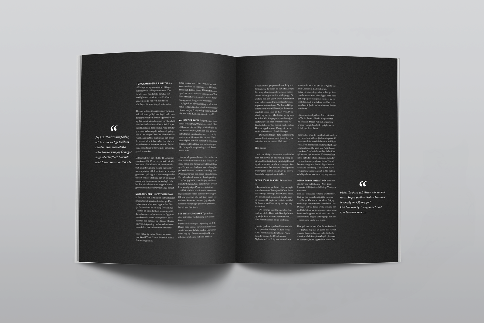 1595x1065_by_petra_boken_2.png