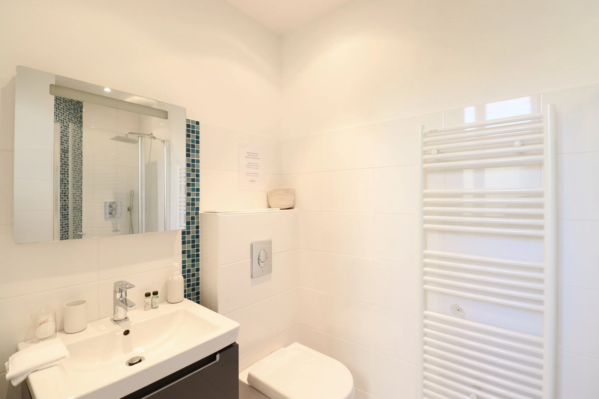 Salle de bain moderne avec miroir, lavabo avec accessoires, toilette, radiateur électrique et douche