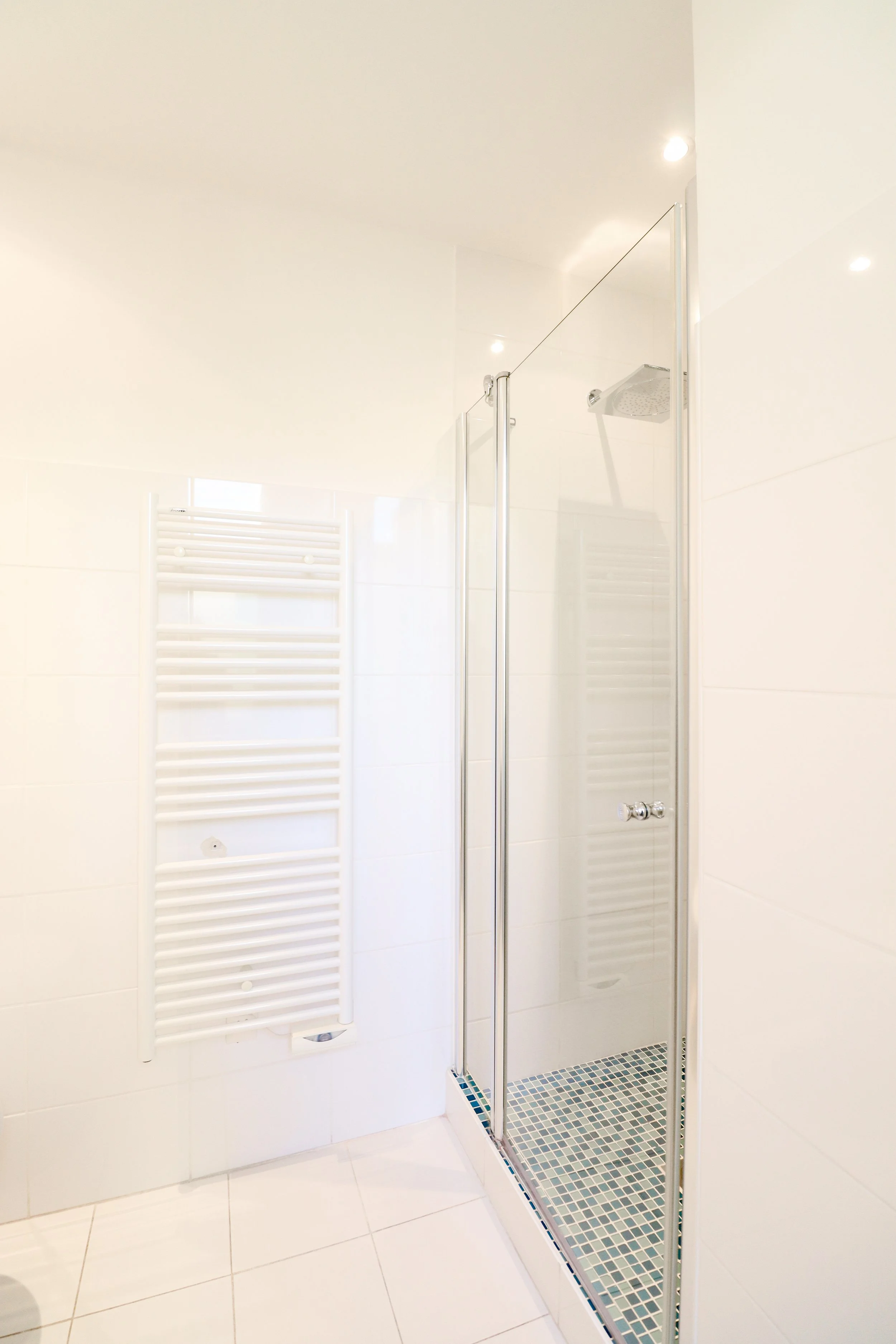 Salle de bain avec douche en verre, ruche de sol en mosaïque, et radiateur électrique blanc