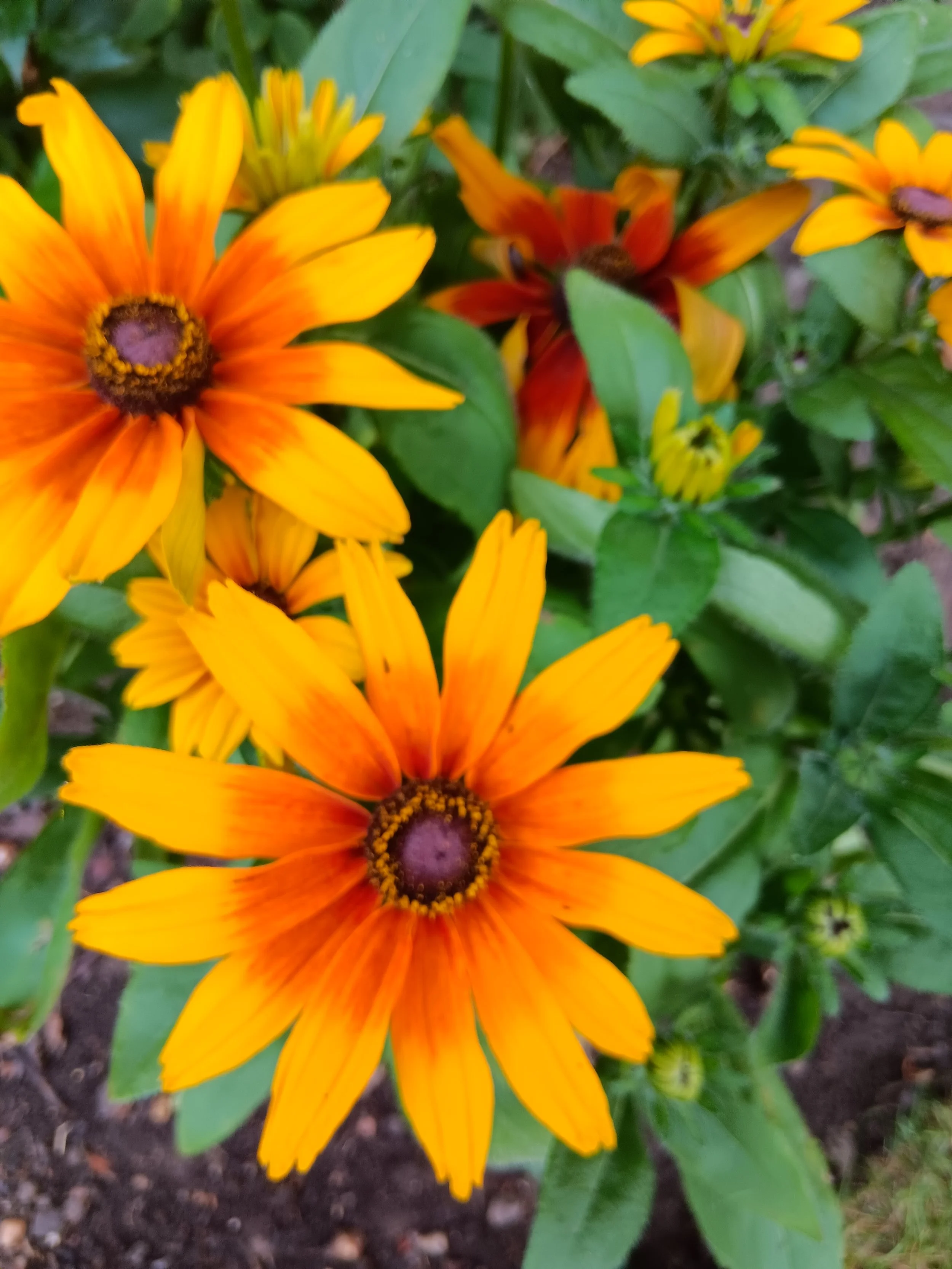 Private reggae and steel pan party