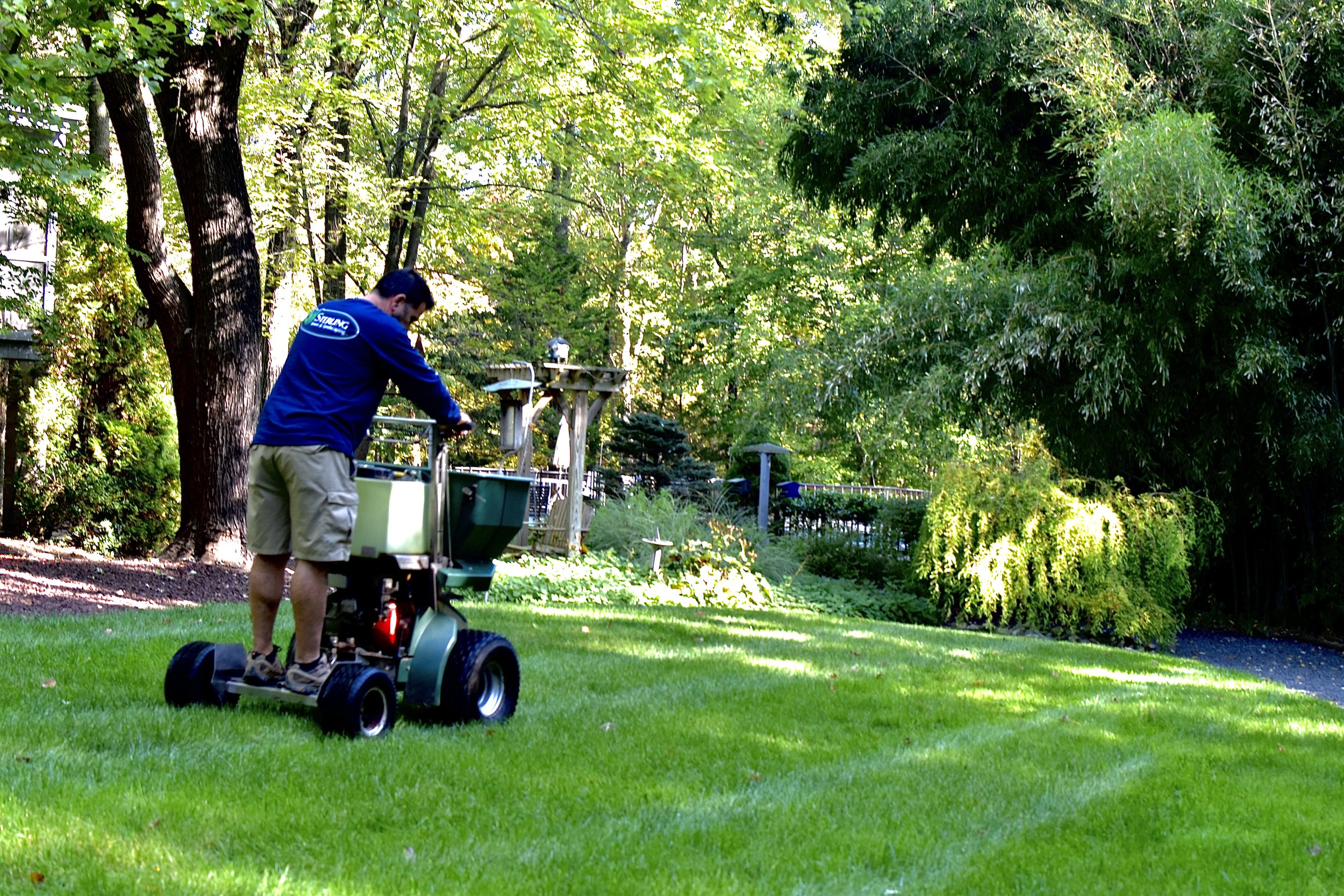 man fertilizing green lawn