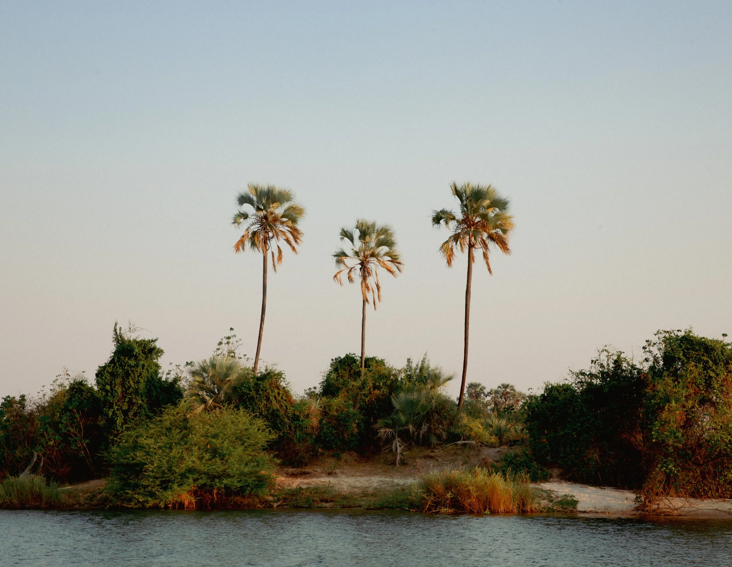 8.5in X 11in Print Matte .jpg