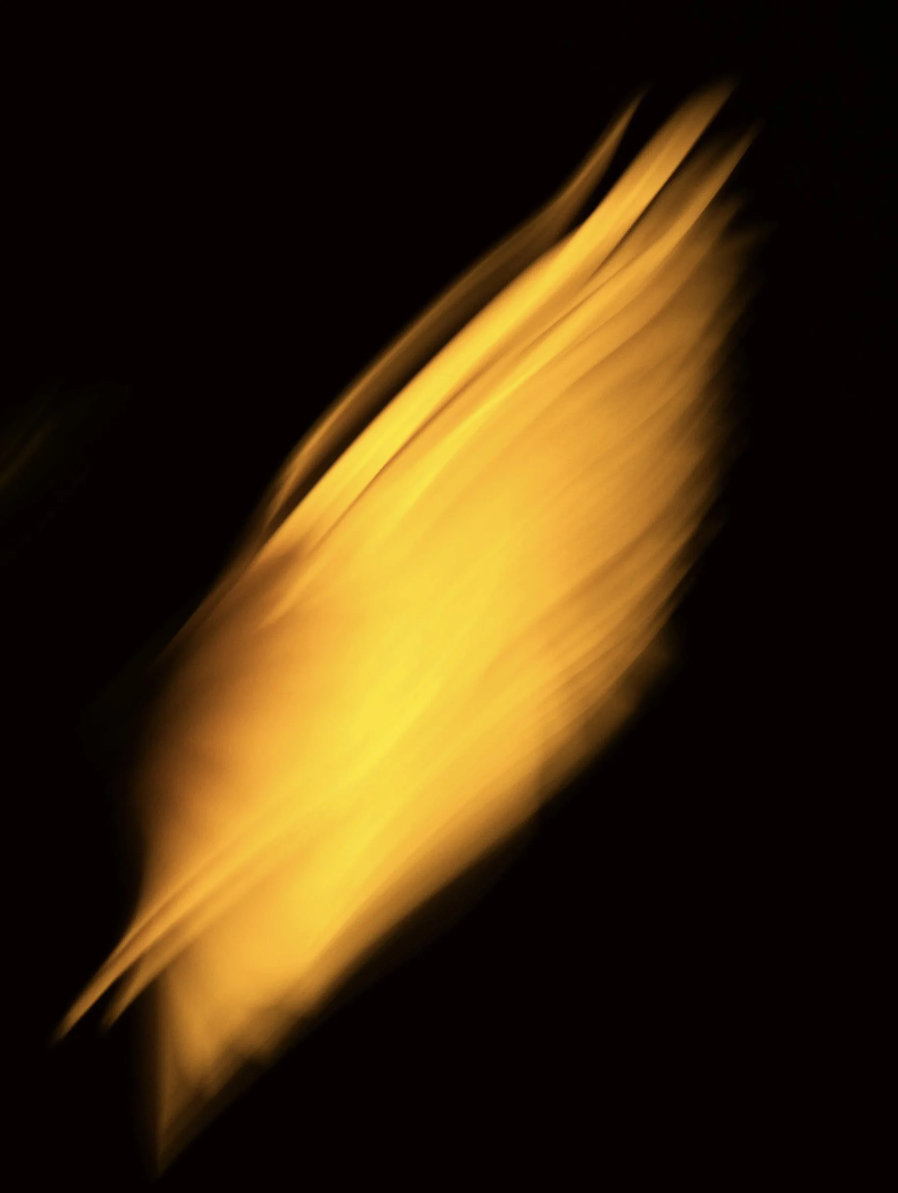 Flower (04-01-26)-067.jpg