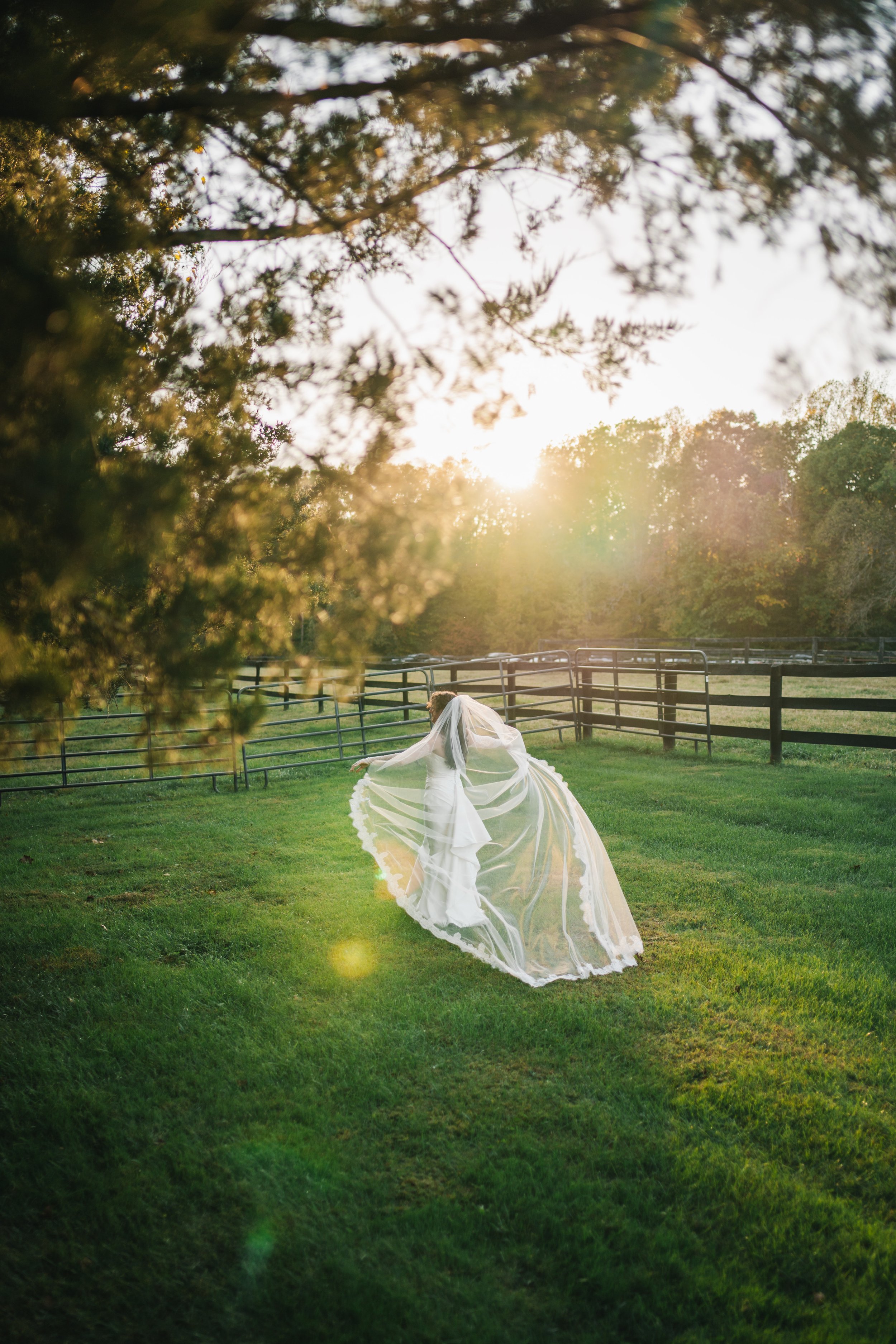 A bride wearing a white wedding dress and veil dancing on green grass in a fenced outdoor area during sunset.