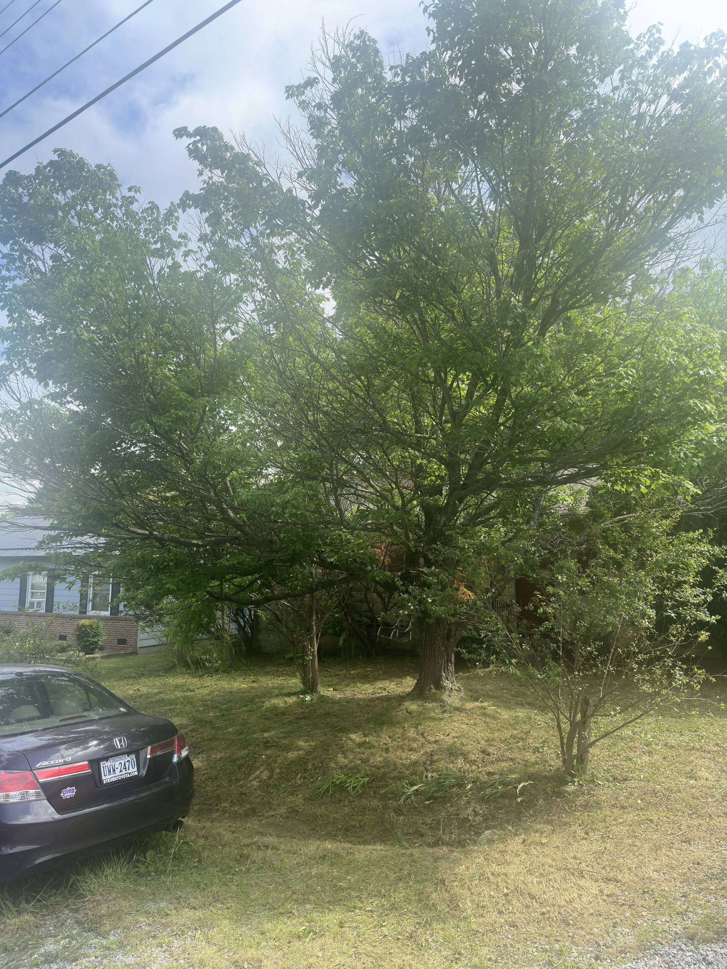 front from right after.JPG