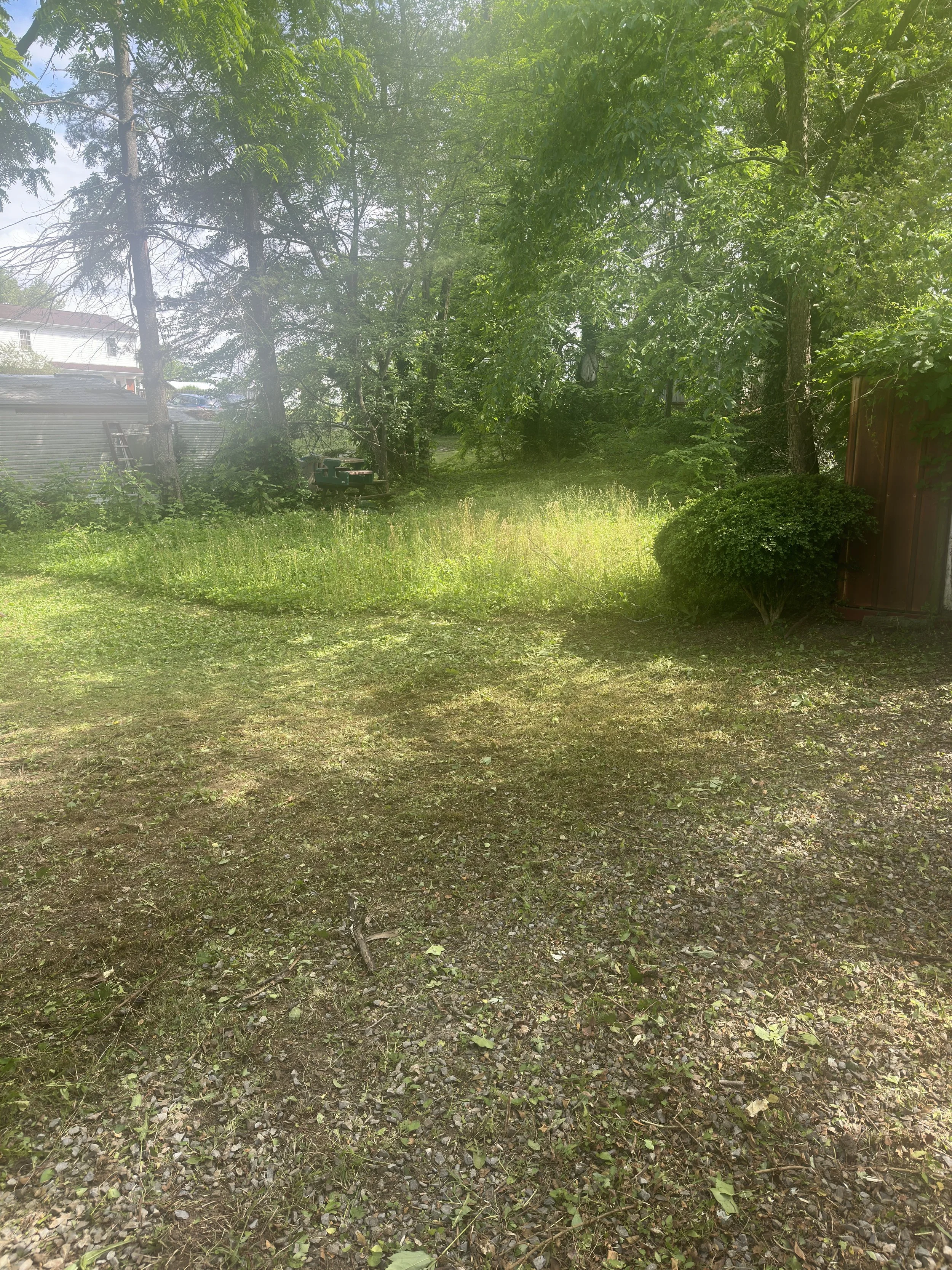 back towards shed after.JPG