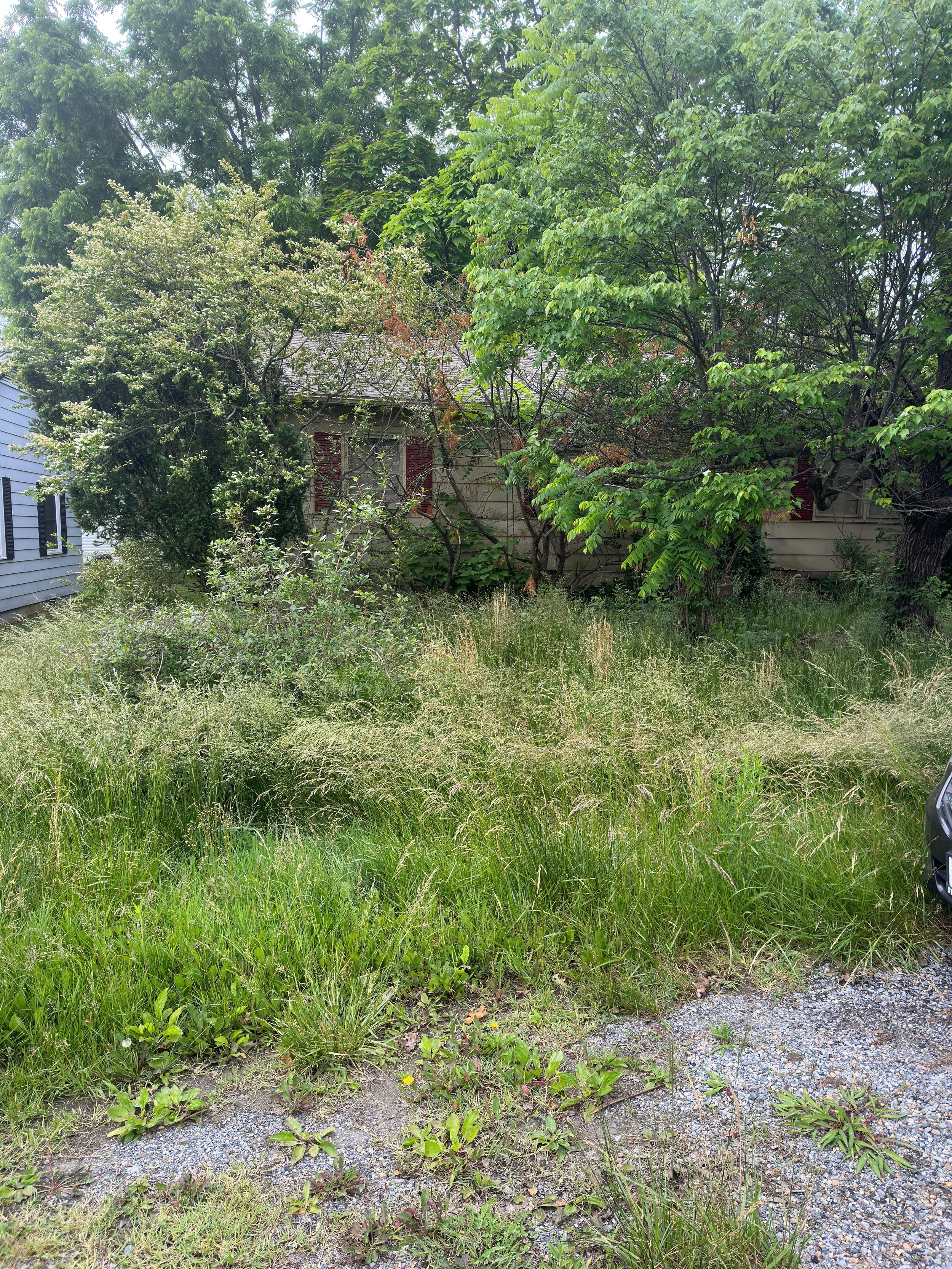 front left side before 68.JPG