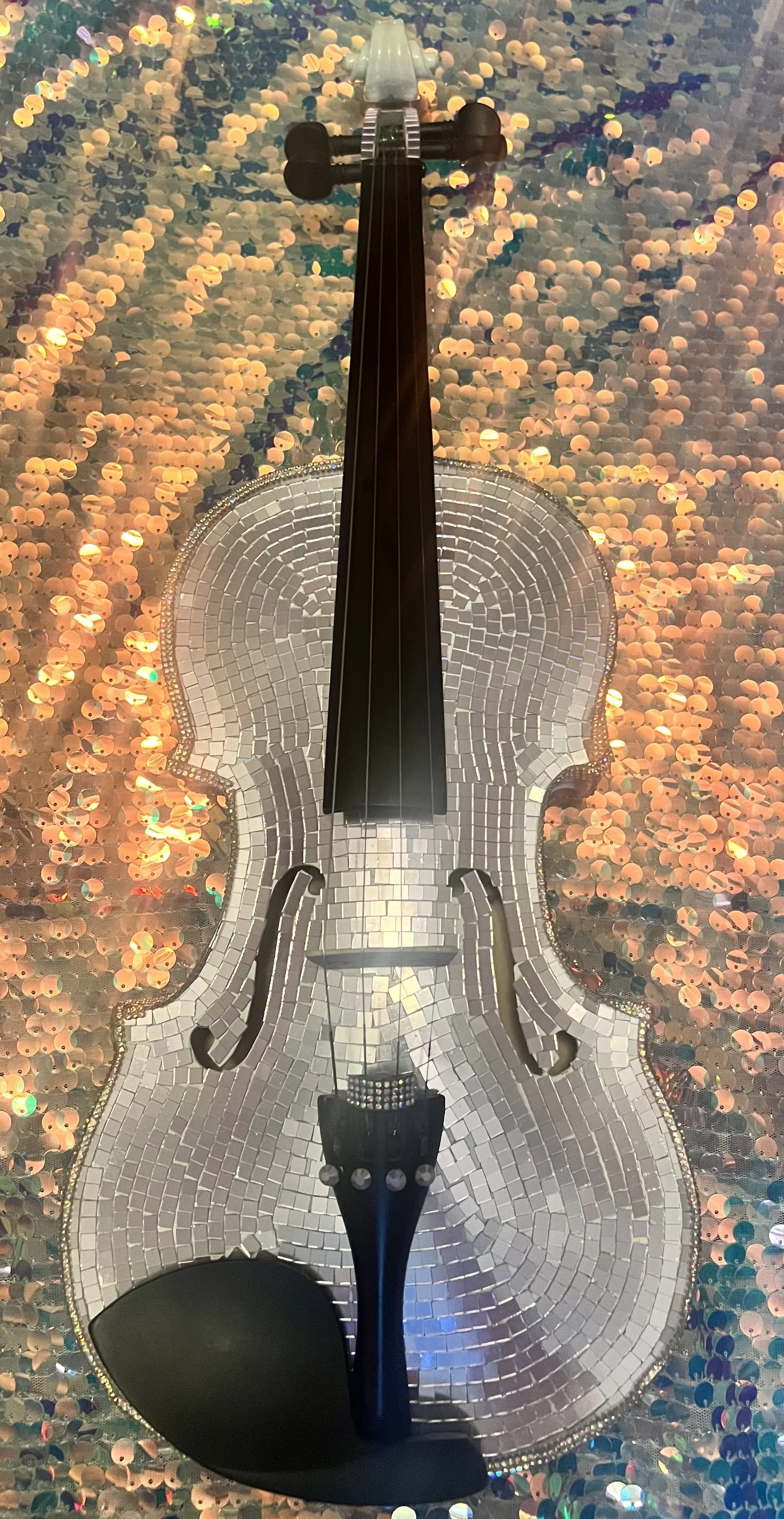 Unicorn Iridescent Rainbow Disco Ball VIolin.jpg