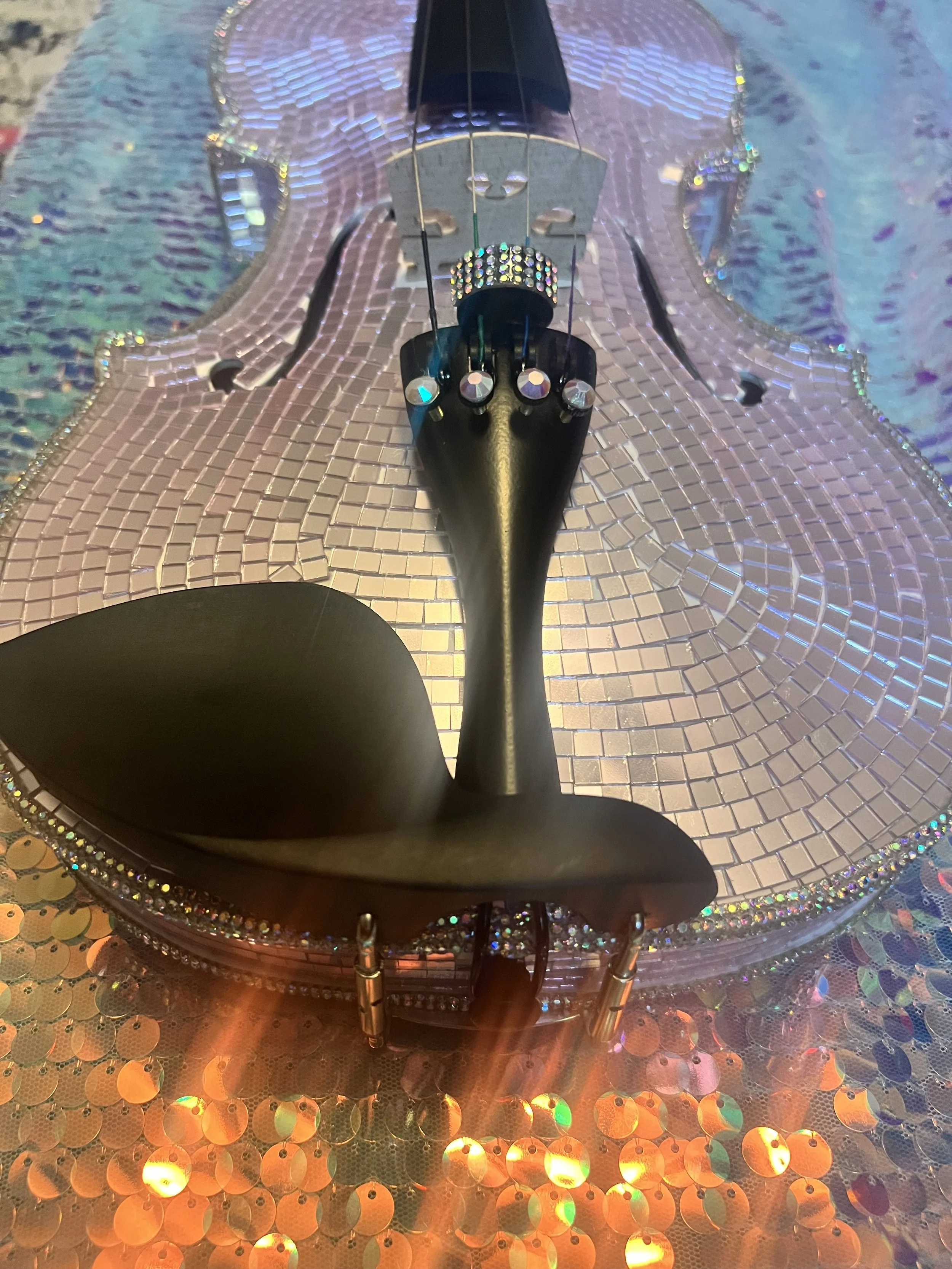 Unicorn Iridescent Rainbow Disco Ball VIolin 2.jpg