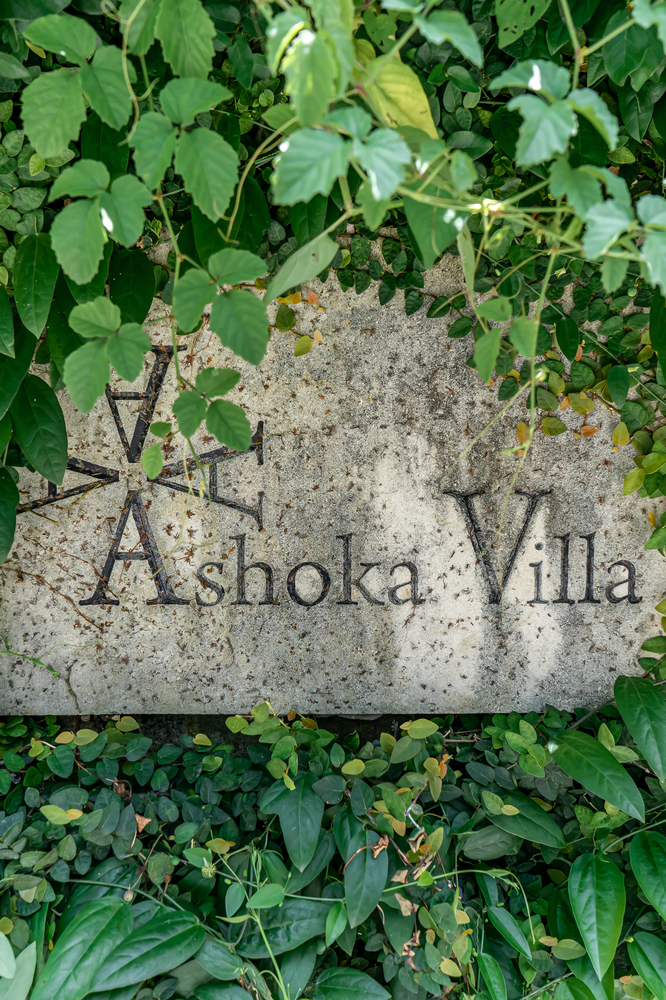 new-ashoka-77.png