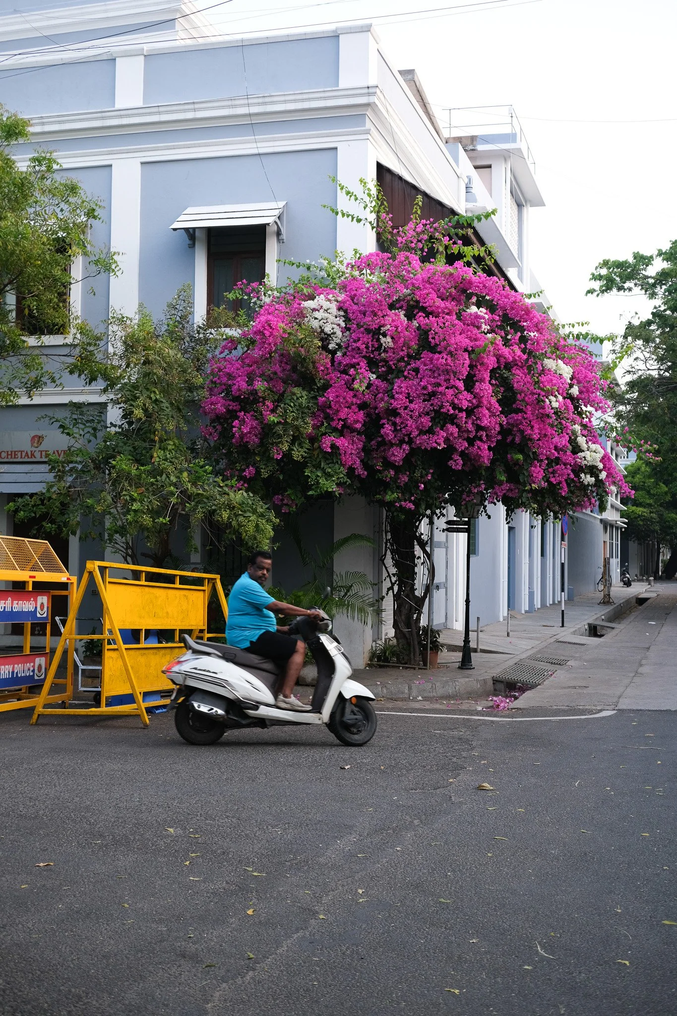 DSCF0129.jpg