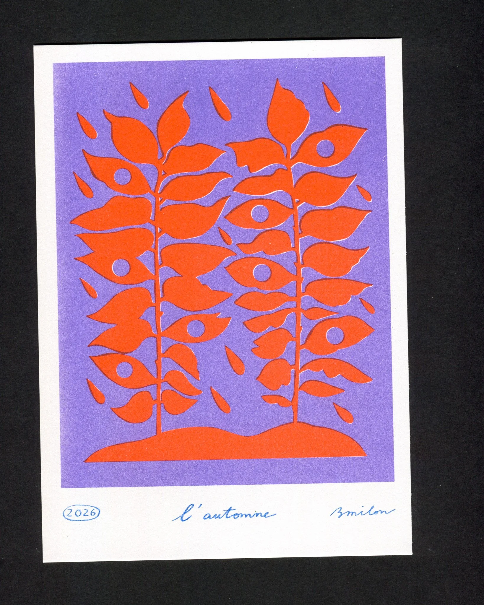 Scan 7.jpg