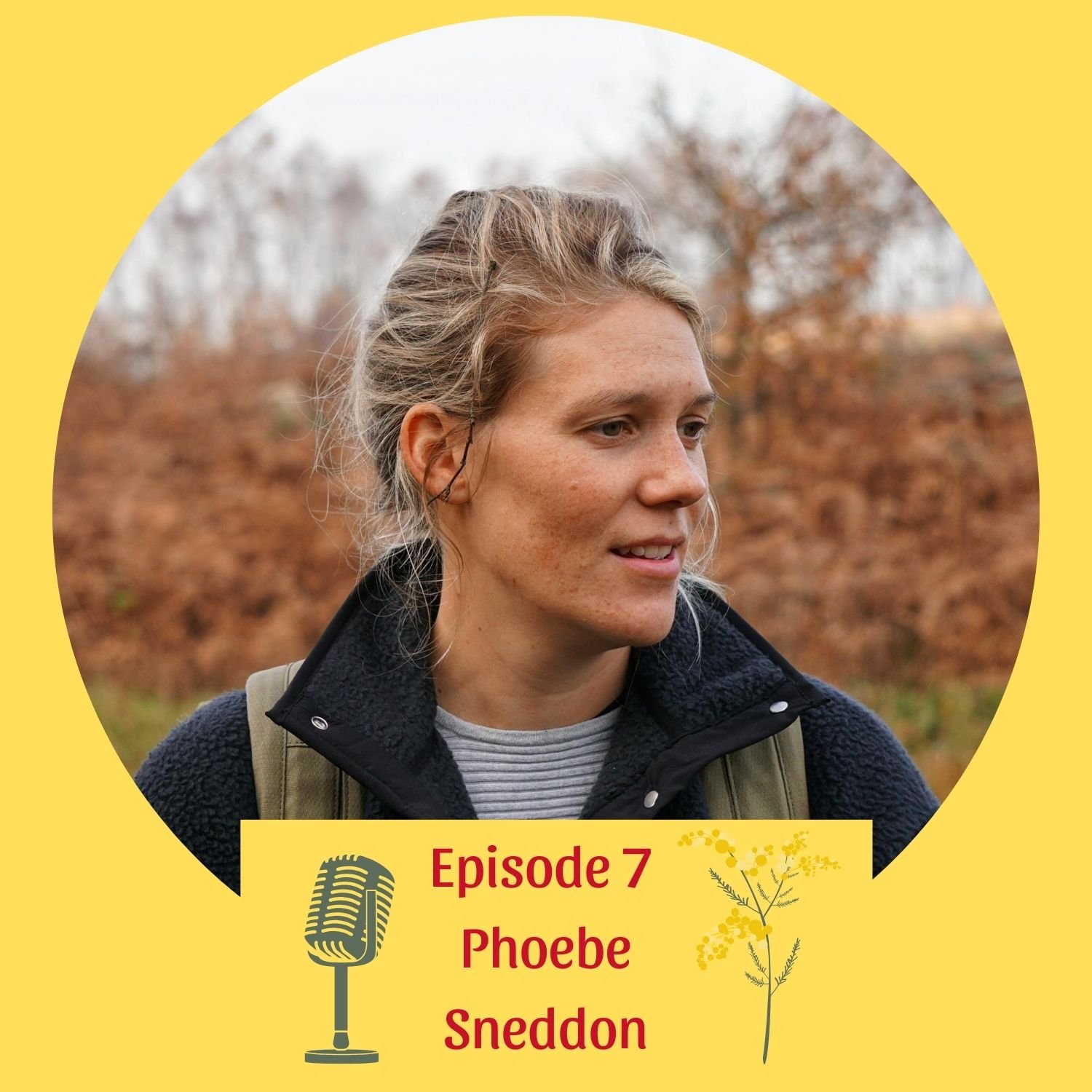 Phoebe Sneddon Transcript 