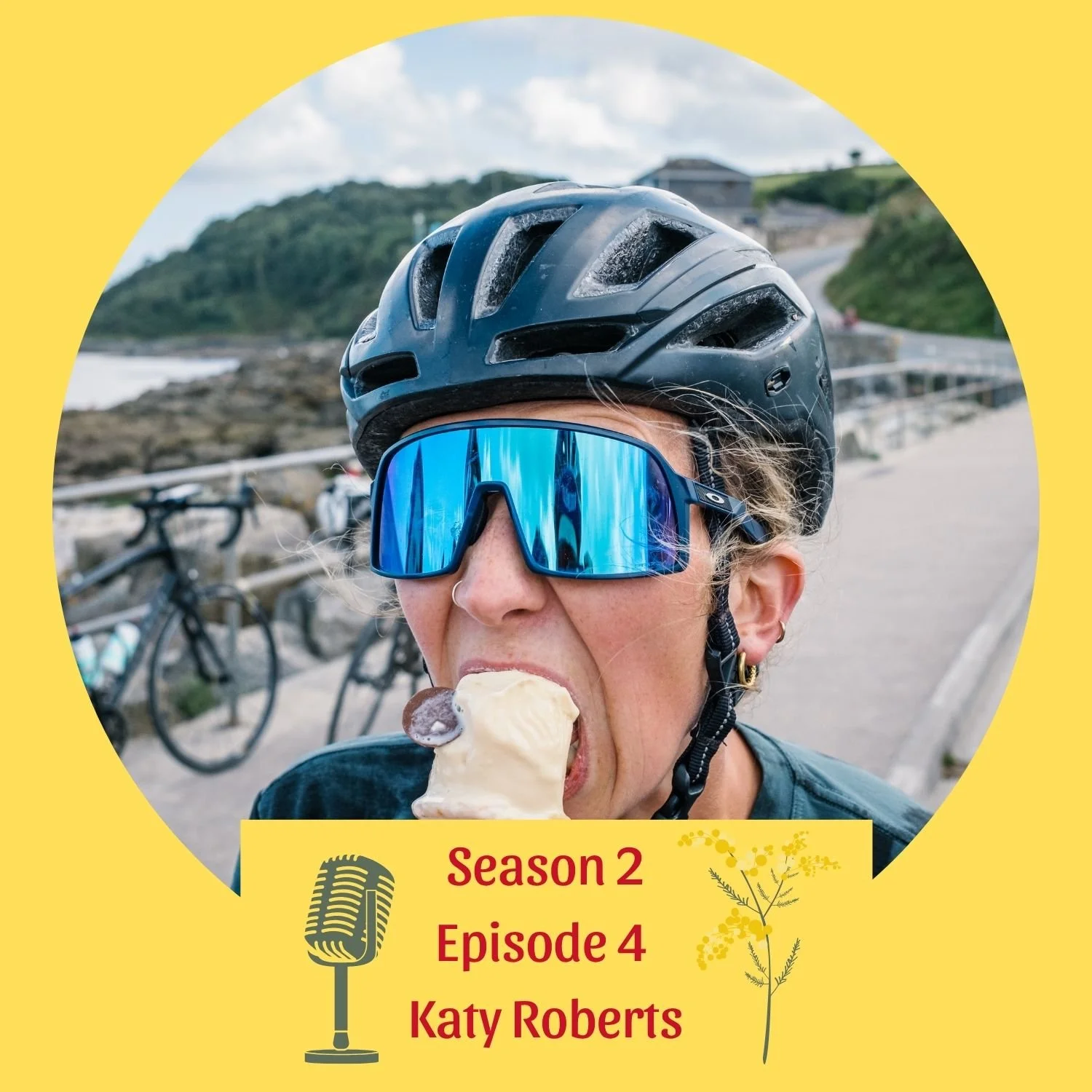 Katy Roberts Transcript 