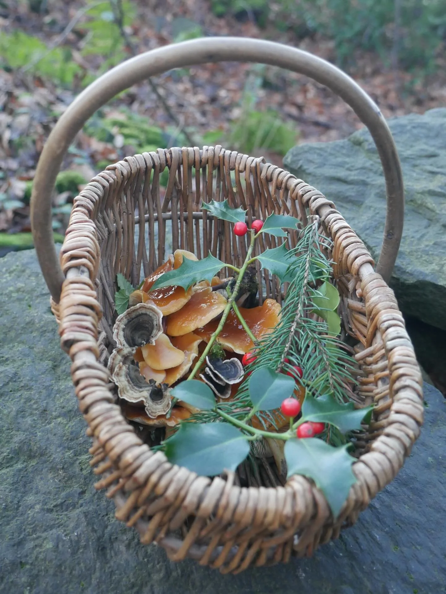 The 𝖜𝖎𝖓𝖙𝖊𝖗 𝖘𝖔𝖑𝖘𝖙𝖎𝖈𝖊, around 21 December, marks the shortest day and longest night in the Northern Hemisphere. The Sun appears to &ldquo;stand still&rdquo; before reversing direction, slowly bringing longer daylight after midwinter. This