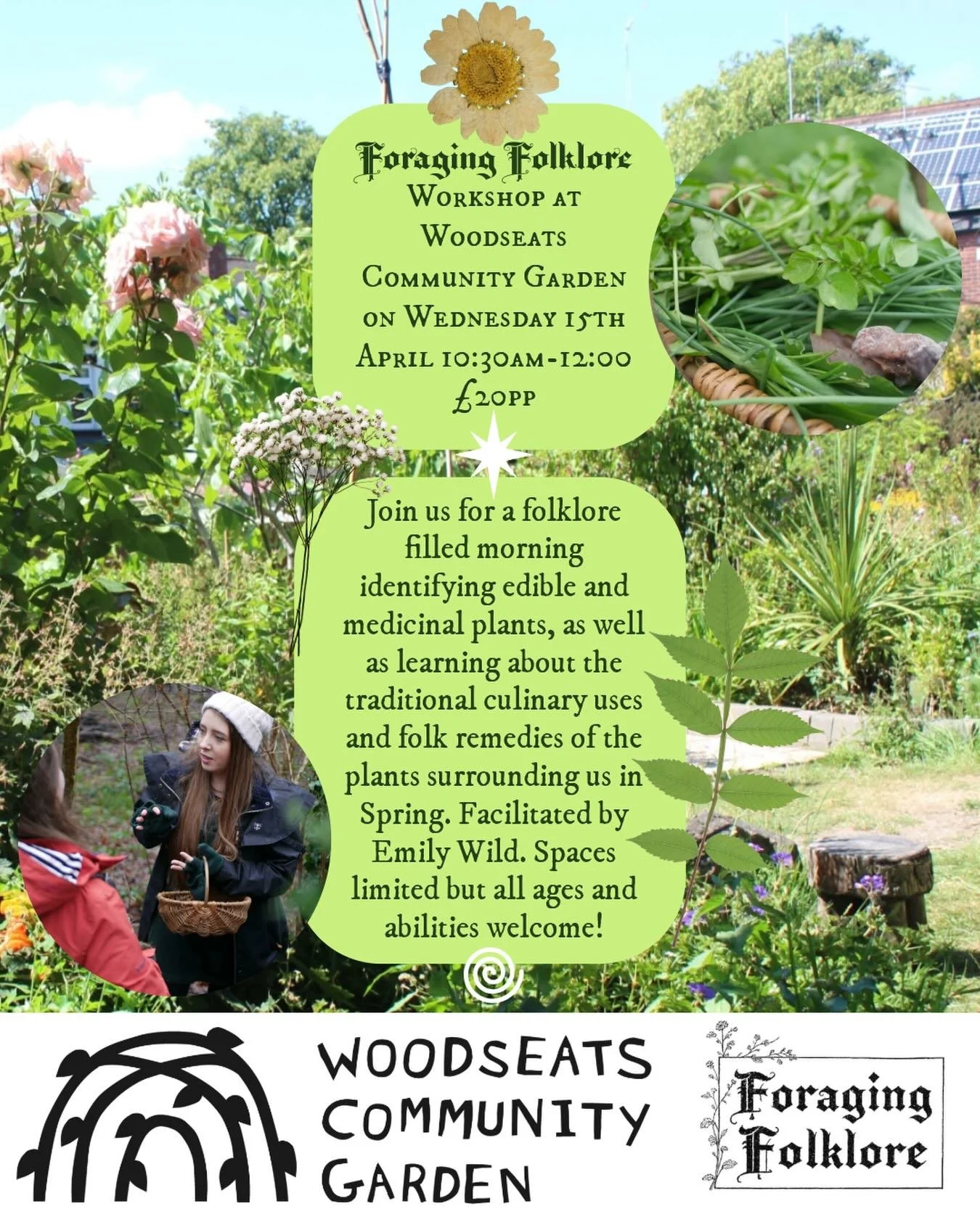 Foraging Folklore workshop at @woodseats_community_garden 10:30am -12:00,
&pound;20pp,
🌿🍄&zwj;🟫🌀Join us for a folklore filled morning identifying edible and medicinal plants, as well as learning about the traditional culinary uses and folk remedi