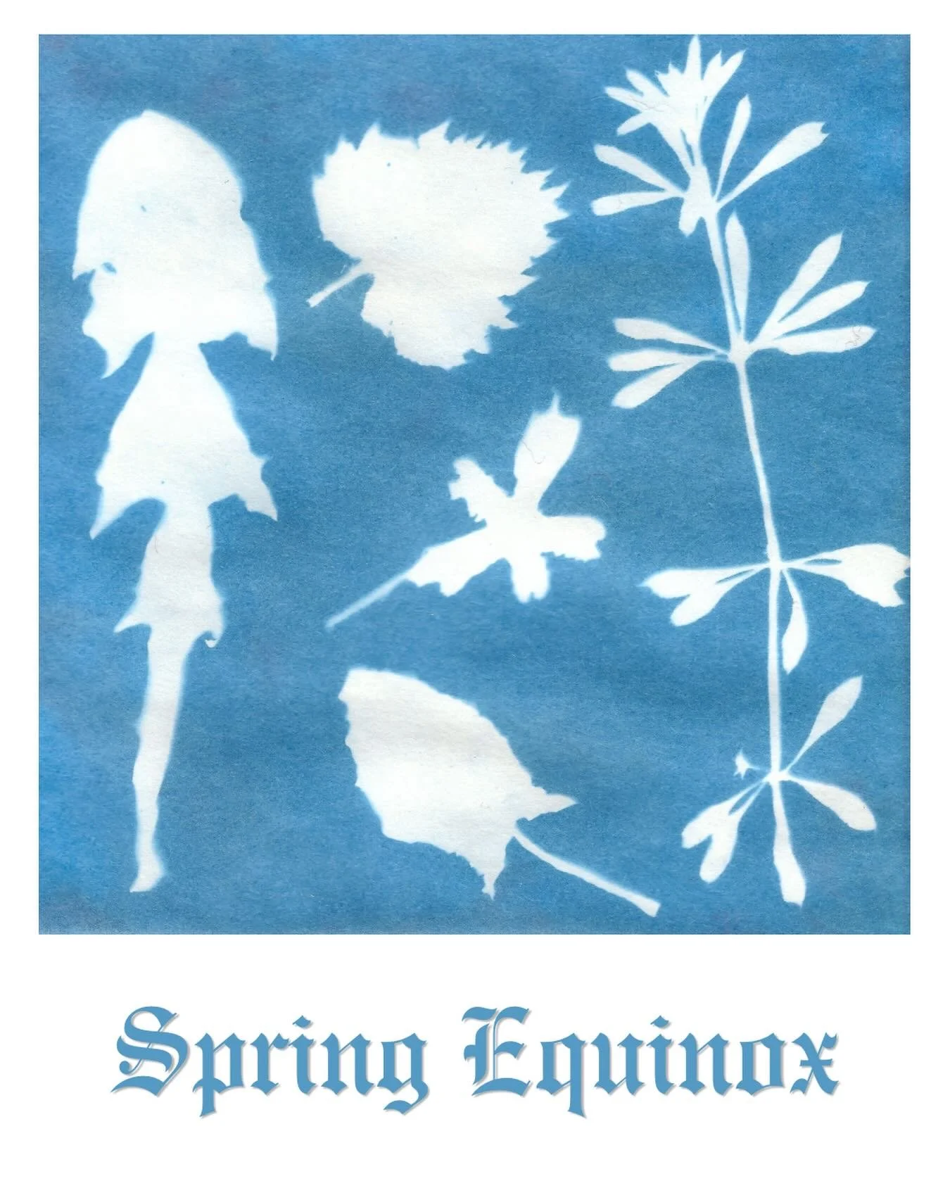 Happy 𝕾𝖕𝖗𝖎𝖓𝖌 𝕰𝖖𝖚𝖎𝖓𝖔𝖝 🌱🌸🌀Today marks the official start of Spring in the Northern Hemisphere, what a relief after what felt like such a long winter! A time of rebirth, awakening and the emergence of abundant life ✨ On this date, which 