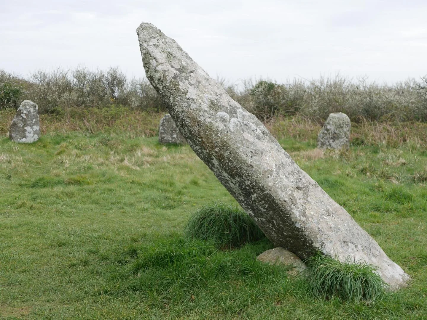 〓〓 Cornwall/Kernow&rsquo;s ancient stones, wishing trees, old churches and stories of the sea 🌊🪨✨abundant in three cornered leek and gorse 🌼🌱(gorse post coming soon 😁)