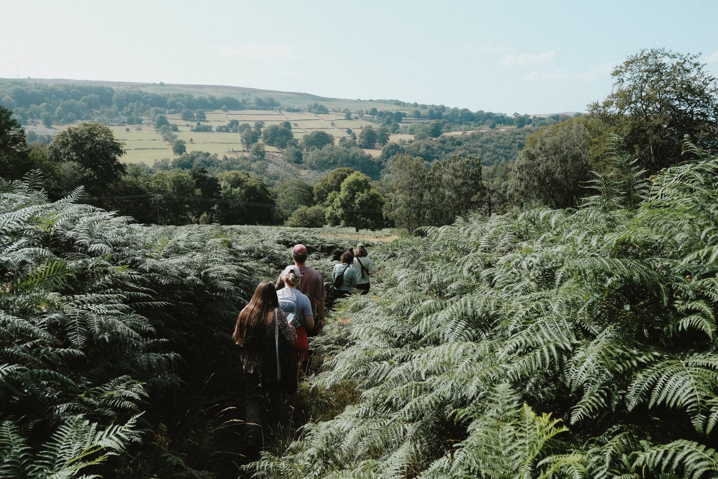 a beautiful foraging &amp; folklore walk in the peaks with lovely people, if you&rsquo;d like a private booking with friends do get in touch 🧺🫐🌾 in this abundant berry season we found lingonberries, bilberries, elderberries, blackberries &amp; row