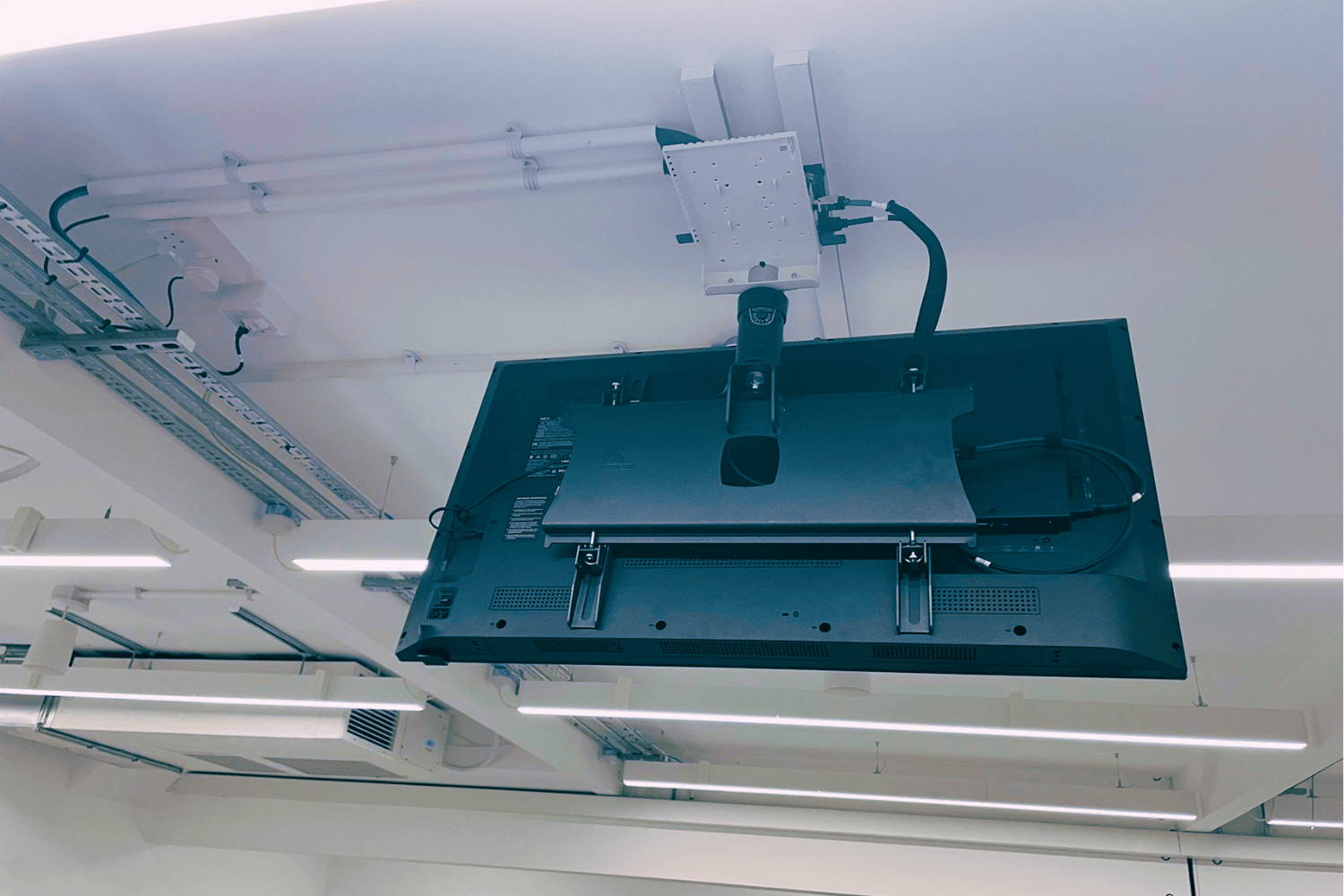 kent uni darwin 04.png