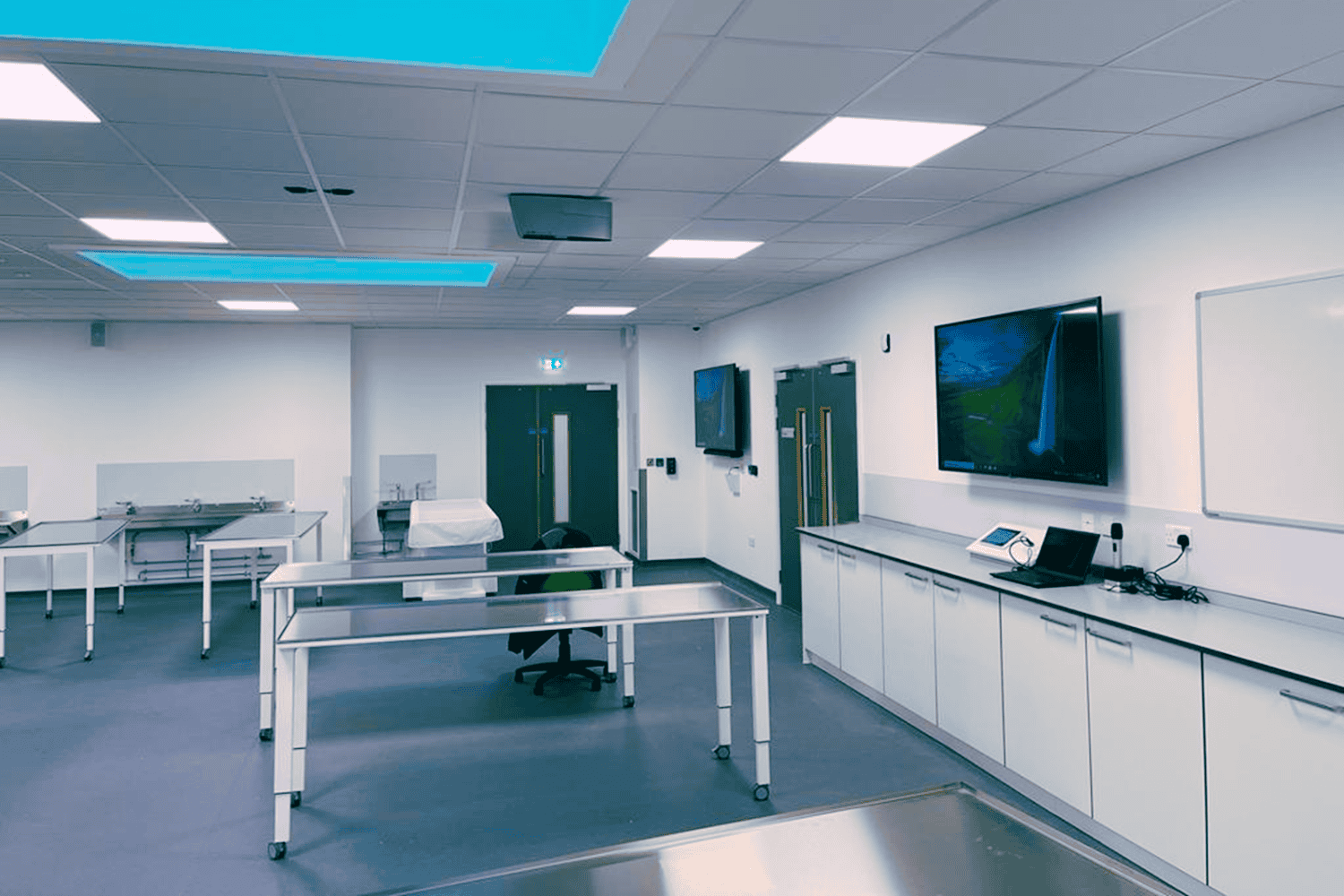 sunderland uni cadaveric 04.png