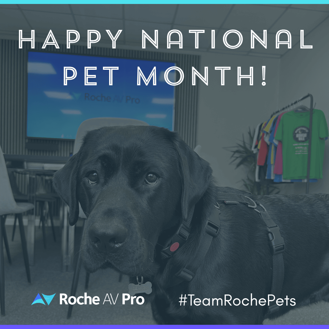 Happy National Pet Month 2026!