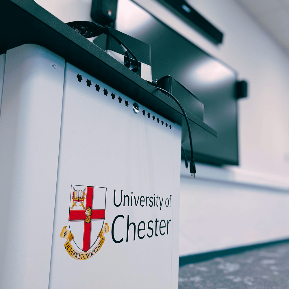 chester uni divisable binks 1.png