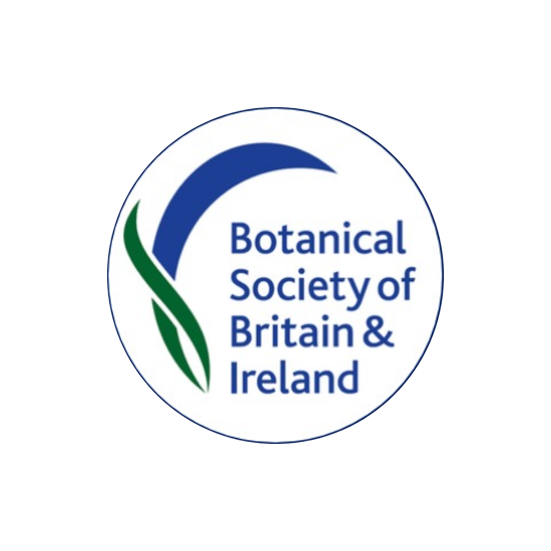 BSBI